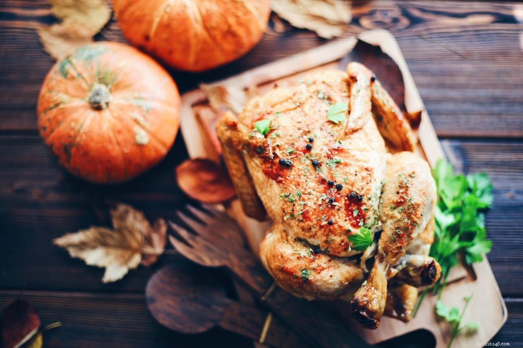 Can Pets Eat Human Food at Thanksgiving? Safe Tips & Alternatives
