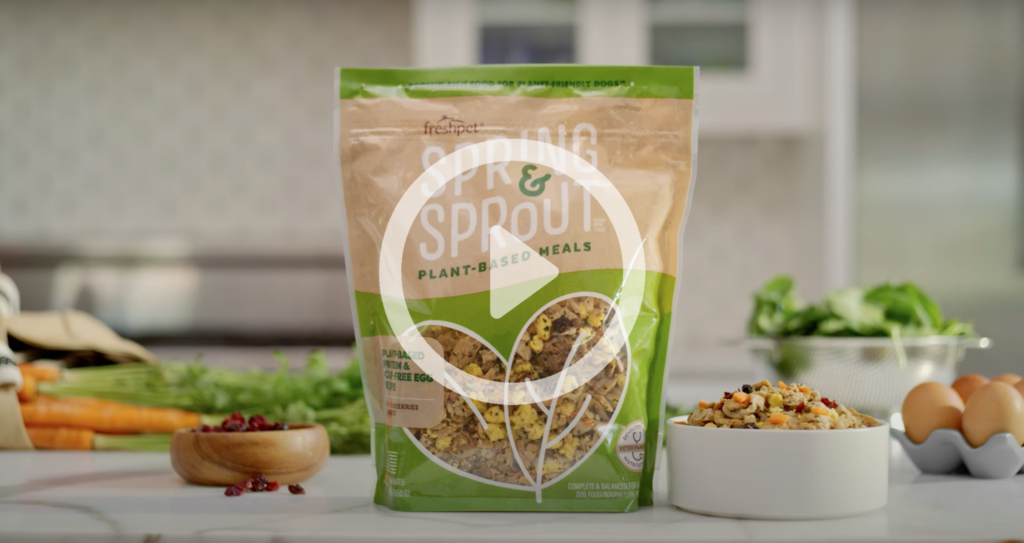 Discover Spring & Sprout – Freshpet’s New Plant‑Based, Protein‑Rich Dog Food