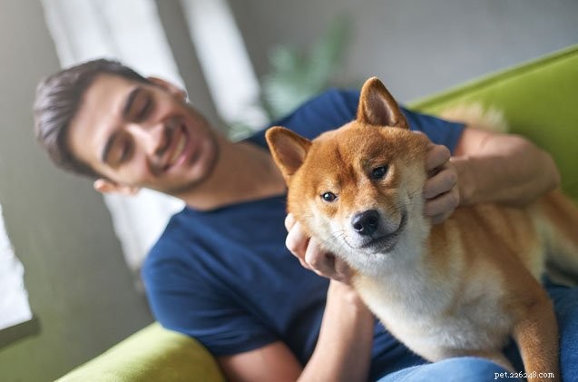 Step-by-Step DIY Physical Exam for Your Dog: Keep Them Healthy at Home