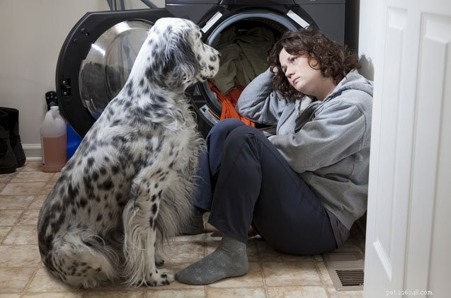 The Protective Power of Dogs: Reducing Suicide Risk Through Companionship