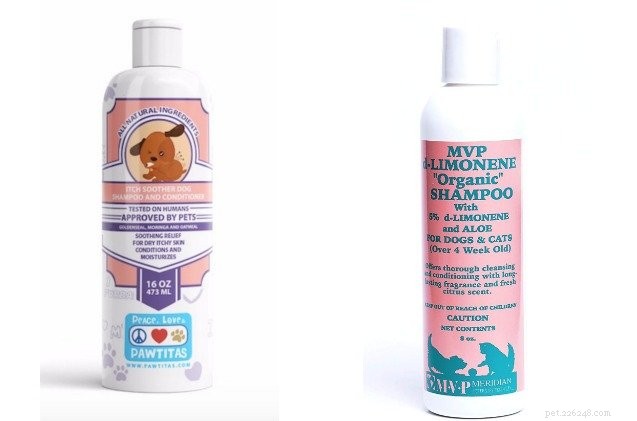Dog Lice 101: How to Detect, Treat, and Prevent Parasite Infestations