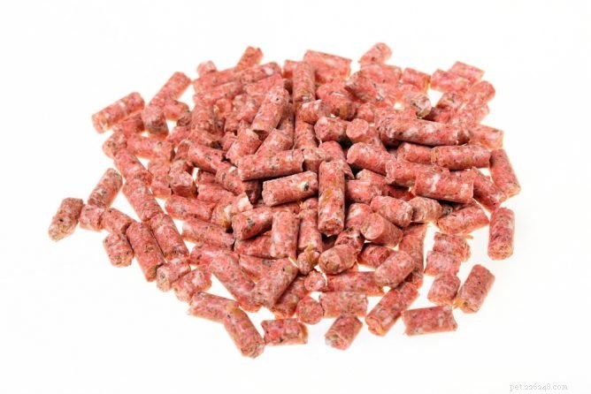 Protect Your Dog: The Hidden Risks of Rat & Mouse Poisons