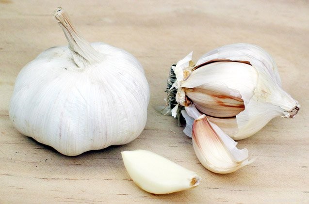 Debunking Myths: The Real Effects of Garlic on Your Dog