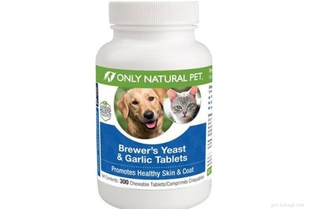 Debunking Myths: The Real Effects of Garlic on Your Dog