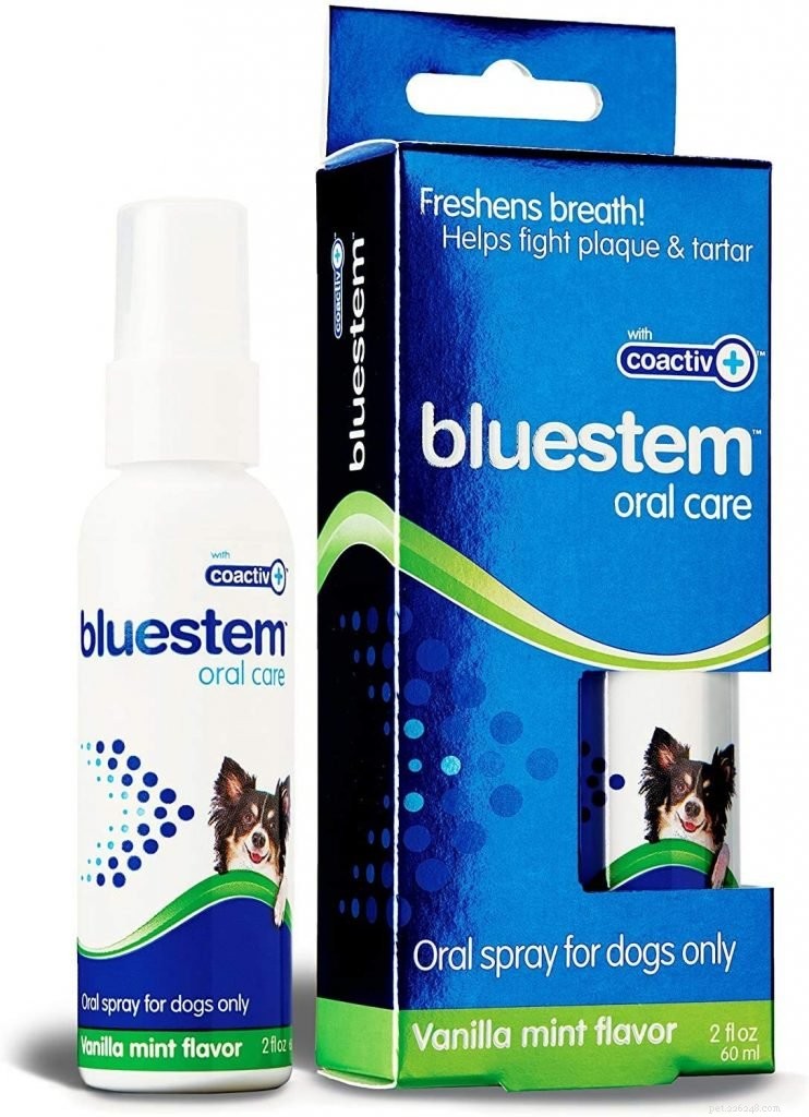 Why Your Dog s Bad Breath Is a Serious Health Concern