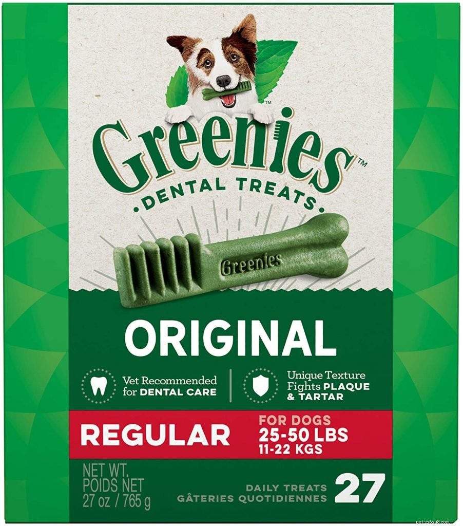 Why Your Dog s Bad Breath Is a Serious Health Concern