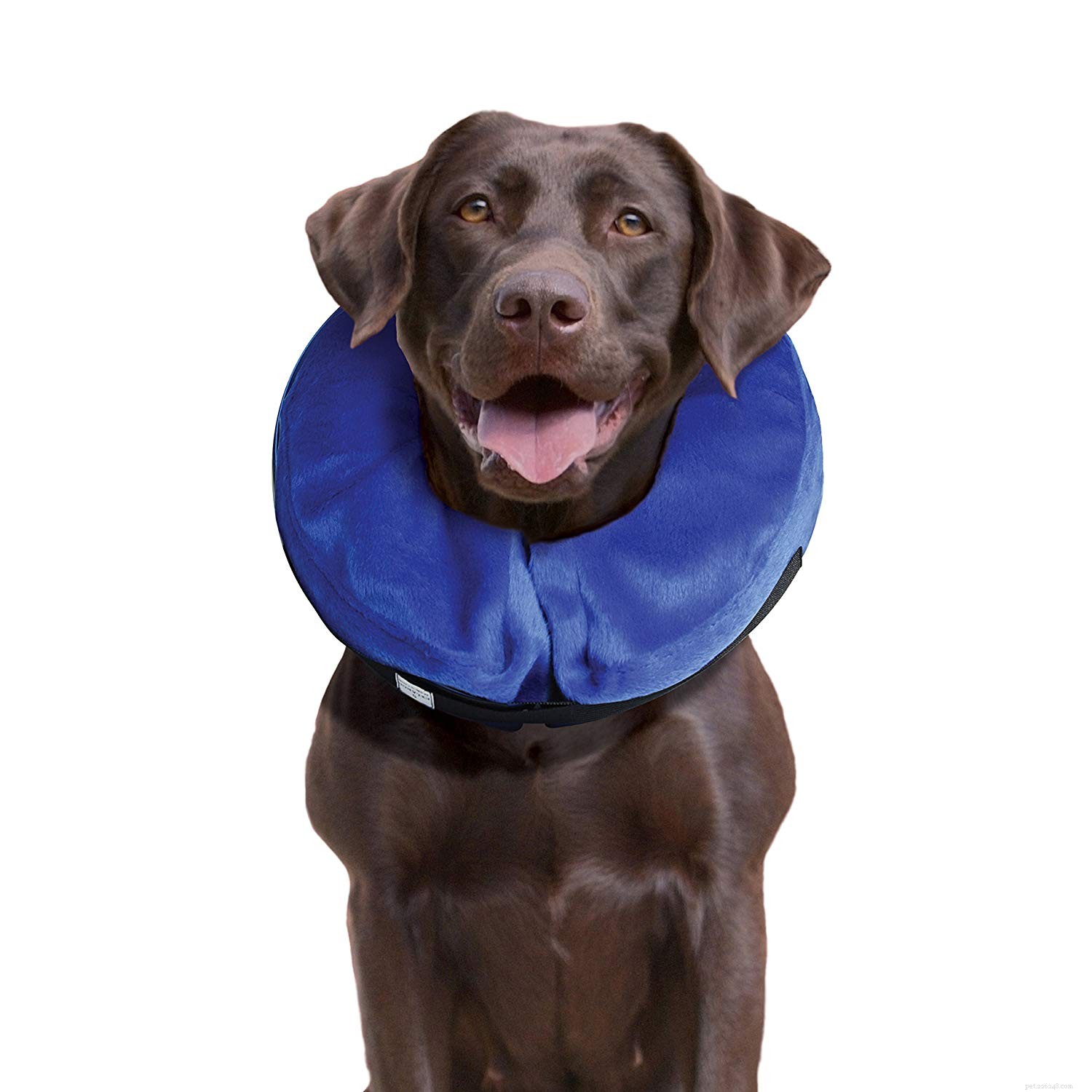Top 10 Dog Cones for a Stress‑Free Recovery