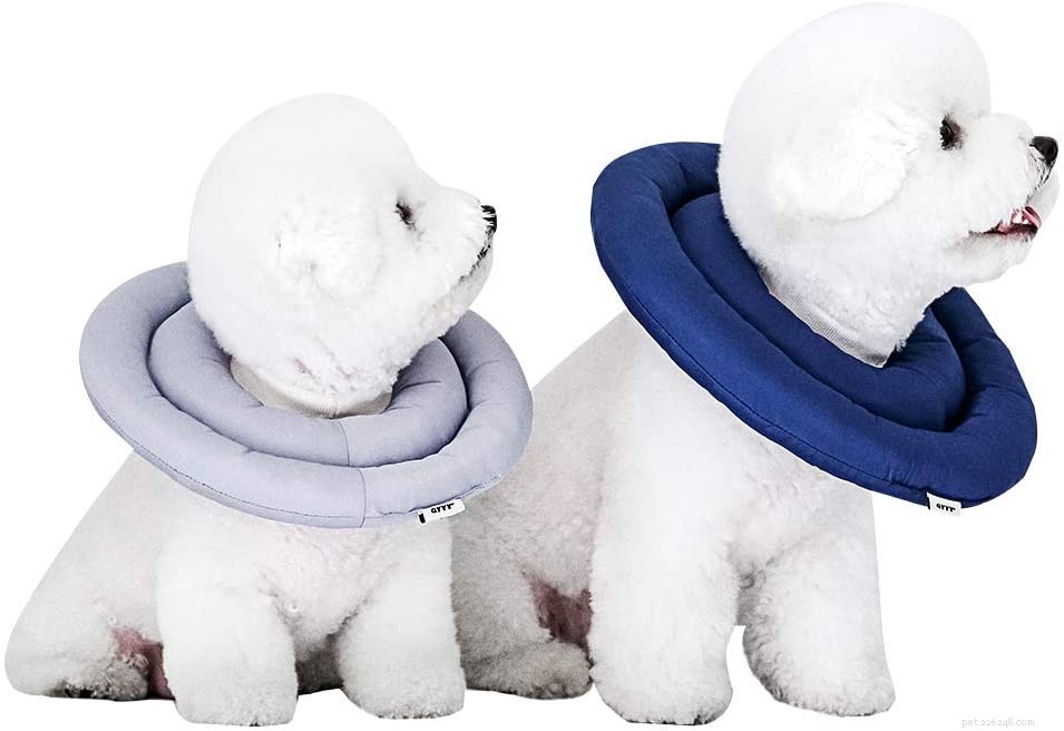 Top 10 Dog Cones for a Stress‑Free Recovery