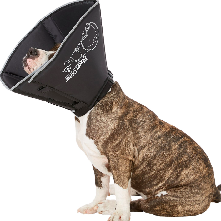 Top 10 Dog Cones for a Stress‑Free Recovery