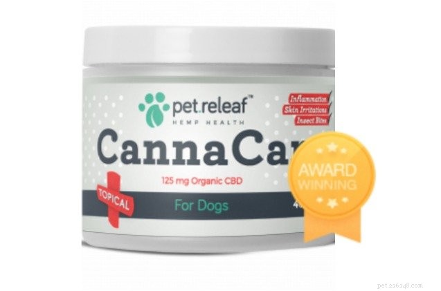 Top 6 Pet Releaf CBD Products to Boost Your Pet’s Well‑Being