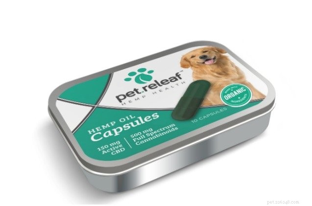 Top 6 Pet Releaf CBD Products to Boost Your Pet’s Well‑Being