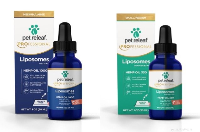 Top 6 Pet Releaf CBD Products to Boost Your Pet’s Well‑Being