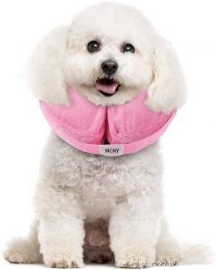 Top 10 Dog Cones for a Stress‑Free Recovery
