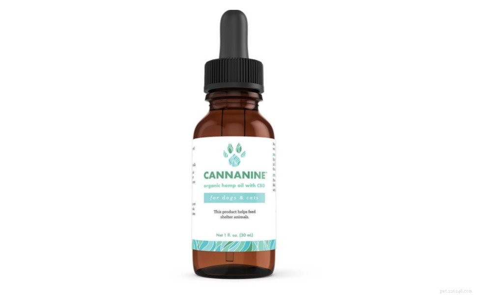 Top 6 Pet Releaf CBD Products to Boost Your Pet’s Well‑Being