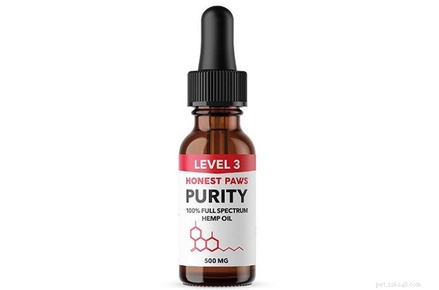 Top 6 Pet Releaf CBD Products to Boost Your Pet’s Well‑Being