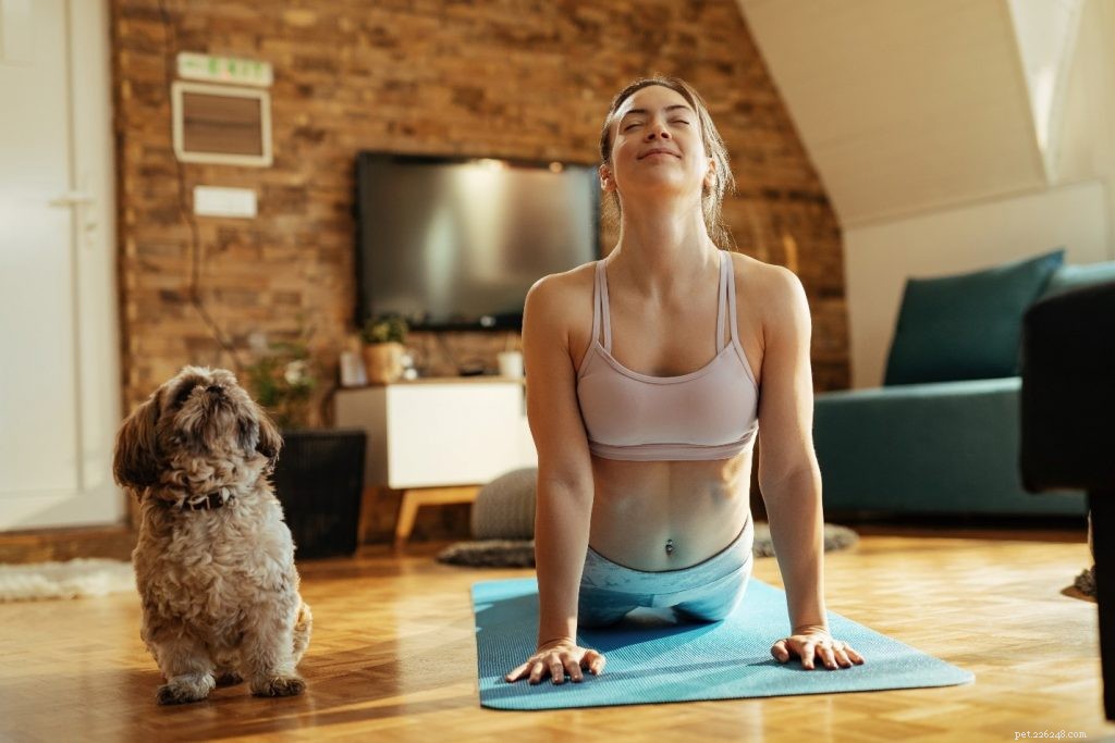Affordable Pet Wellness: Quality Care Without Breaking the Bank