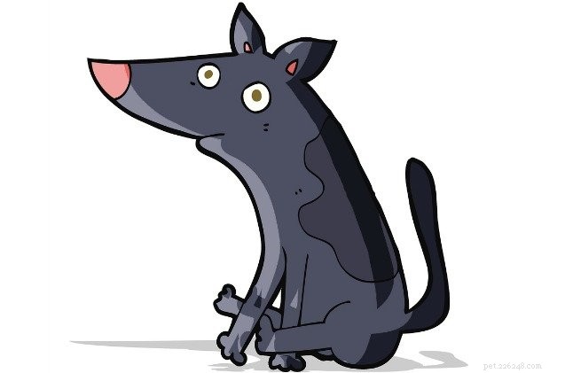Understanding Dog Scooting: Causes, Symptoms, and How to Help Your Dog
