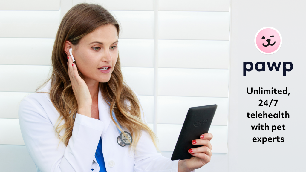 Save on Vet Bills with Pawp’s 24/7 Online Vet Clinic – How It Works