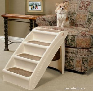 Ramps & Pet Steps: A Reliable Solution for Senior Dogs  Mobility