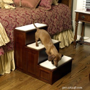 Ramps & Pet Steps: A Reliable Solution for Senior Dogs  Mobility