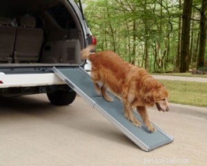 Ramps & Pet Steps: A Reliable Solution for Senior Dogs  Mobility
