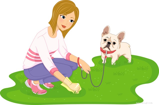 Does Dog Poop Affect Your Dating Life? Expert Advice from Pet Care Professionals
