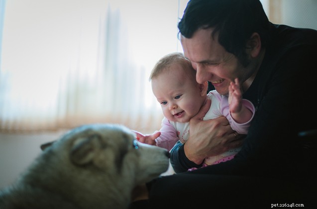 Dog Owners Weigh In: Managing First Baby Arrival with Your Furry Family