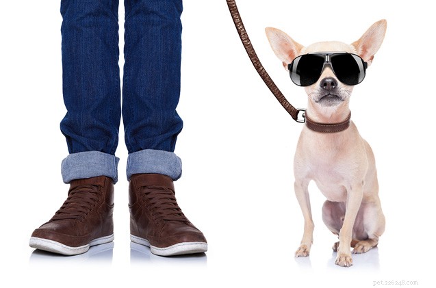 When Your Boyfriend Won’t Walk Your Dog: Practical Tips & Advice