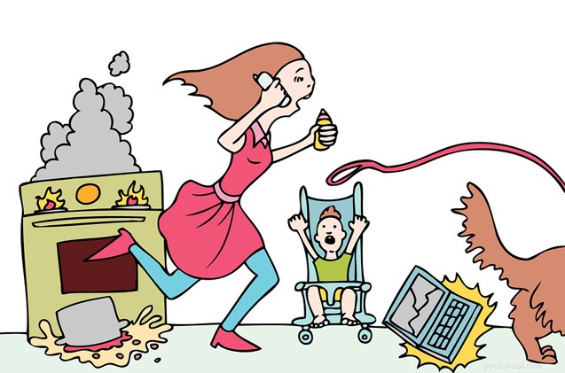 Setting Family Boundaries When Adding a New Dog: Expert Advice