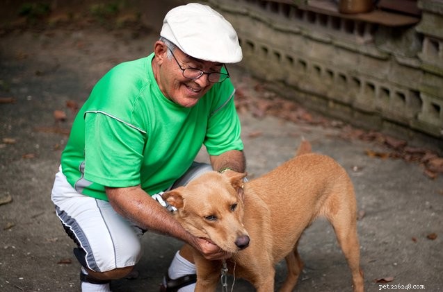 Guidance for Walking Your Family’s Dog: Tips from the Hairy Dogfathers