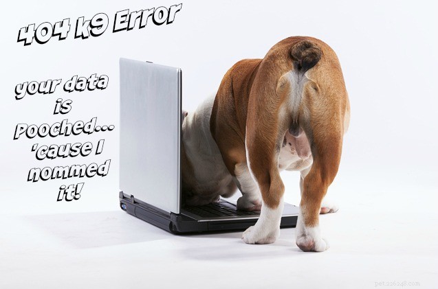 Safeguard Your Devices from Dog Chewing: Expert Tips & Tricks