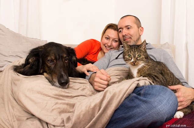 Can Two Pets Share One Apartment? Expert Advice for Couples