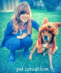 Fall‑Ready Guide: Expert Tips to Transition Your Dog for Autumn
