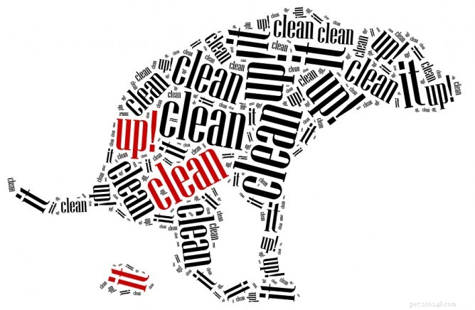 Hairy Dogfathers Offer Expert Tips for Managing Pet Poop