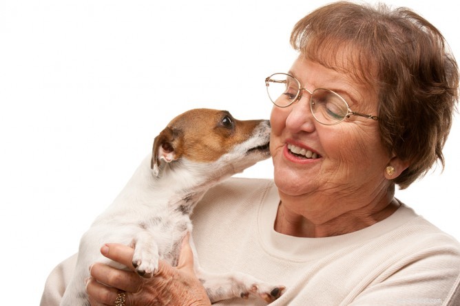 Can You Return a Surprise Puppy? Expert Advice from the Hairy Dogfathers