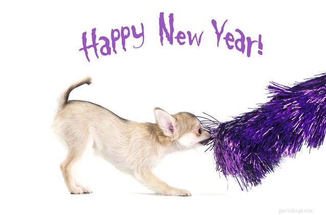 New Year s Resolutions for You & Your Dog: Easy, Fun & Healthier Habits