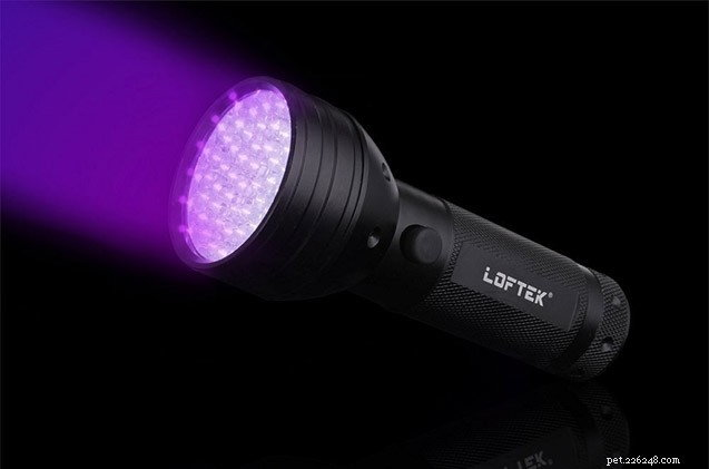 How to Spot Hidden Pet Urine Stains with a UV Black Light