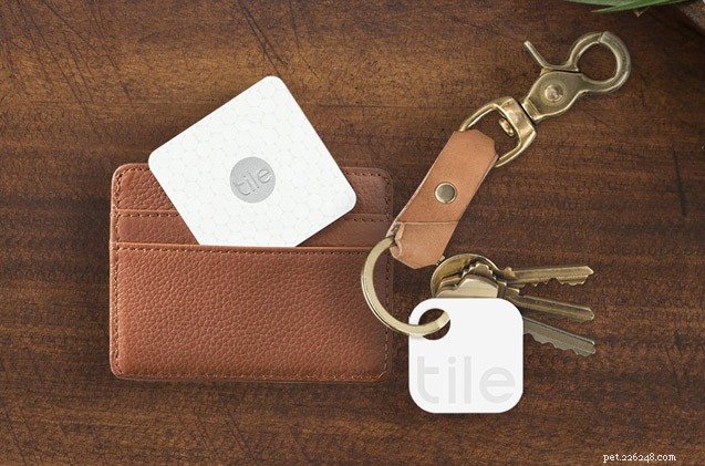 Find Your Lost Pet Quickly: The Tile Tracking Hack Every Pet Owner Needs