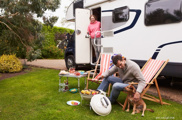 Top 6 Reasons to Travel RV with Your Dog for a Luxurious Camping Experience
