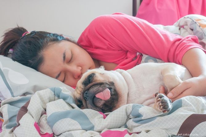 6 Affordable Ways to Strengthen Your Bond with Your Dog