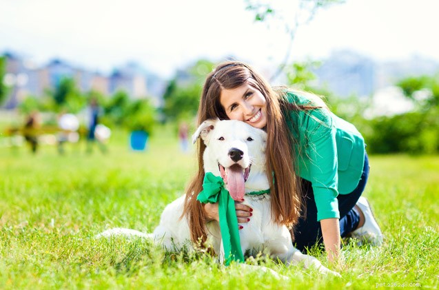 Mastering Responsible Pet Ownership: Key Steps Before Bringing a Pet Home