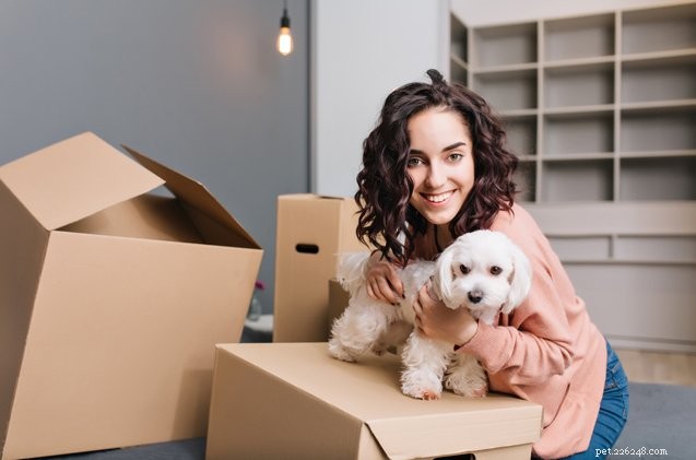 Top 5 Apartment Hunting Tips for Pet Parents