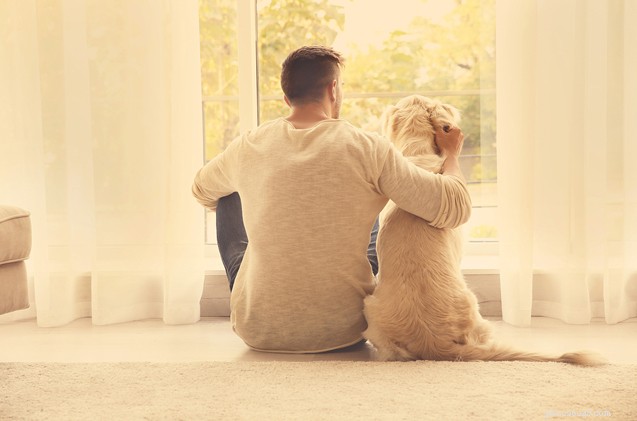 Choosing the Perfect Dog: How to Find the Best Breed for Your Lifestyle