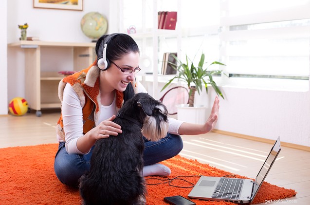 Should College Students Adopt a Pet? Weighing the Pros & Cons