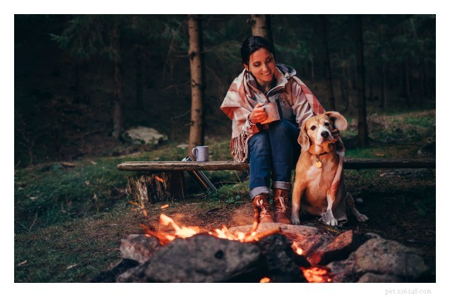 How to Camp with Your Dog: Etiquette for a Smooth, Welcoming Outdoor Experience