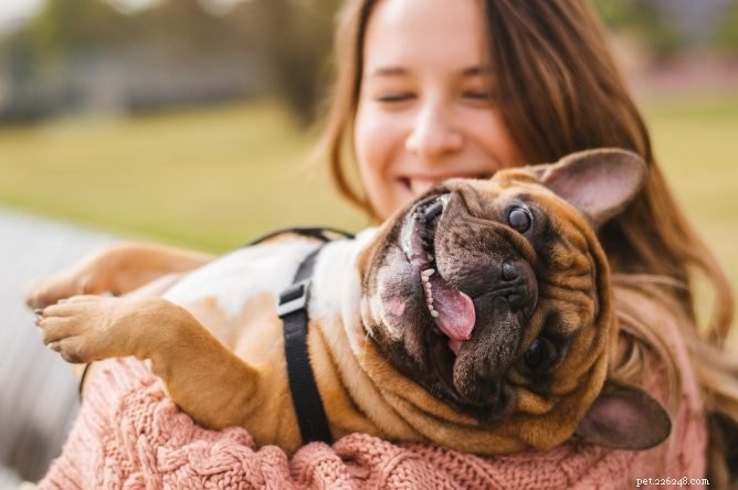 Should You Bring a Dog to College? Weighing the Benefits and Challenges