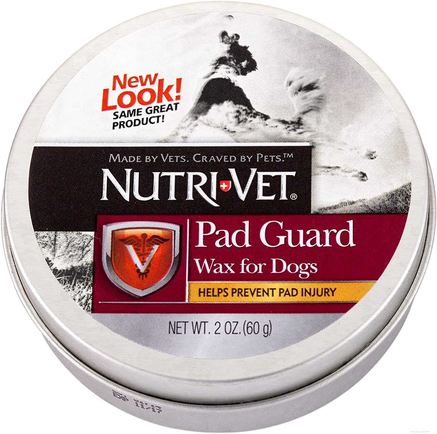 Paw Wax Explained: How to Safely Protect Your Dog s Paws