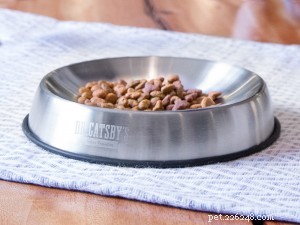 Understanding Feline Whisker Fatigue: Causes, Symptoms, and Care