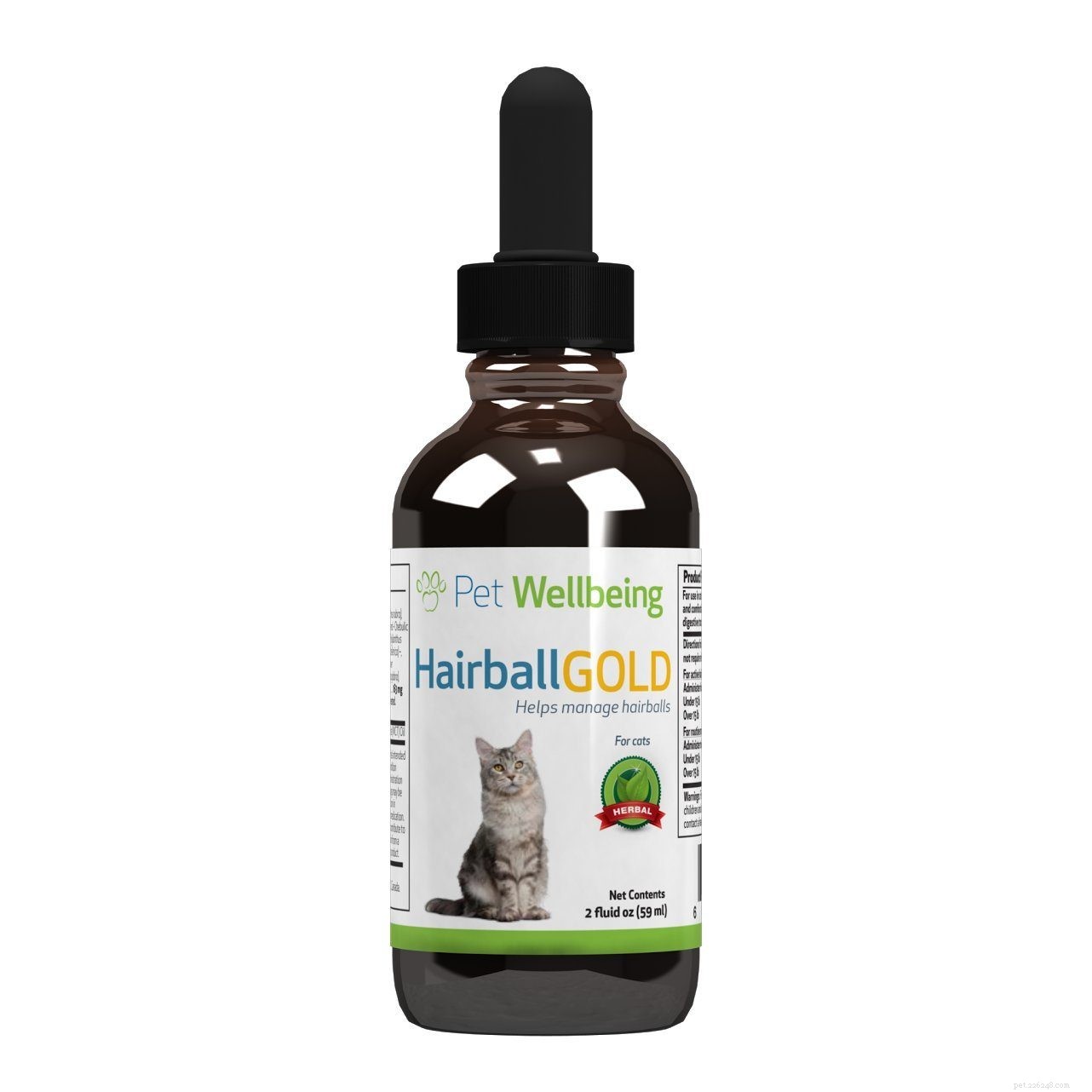Top Hairball Control Products to Keep Your Cat Healthy