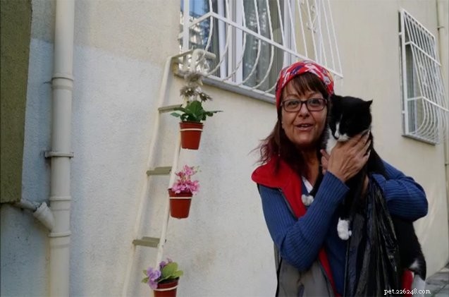 Tekirdag Dentist Creates Cat-Friendly Window Ladder to Shelter Strays from Winter Chill
